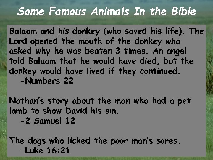 Some Famous Animals In the Bible Balaam and his donkey (who saved his life).