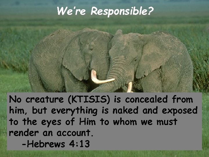 We’re Responsible? No creature (KTISIS) is concealed from him, but everything is naked and