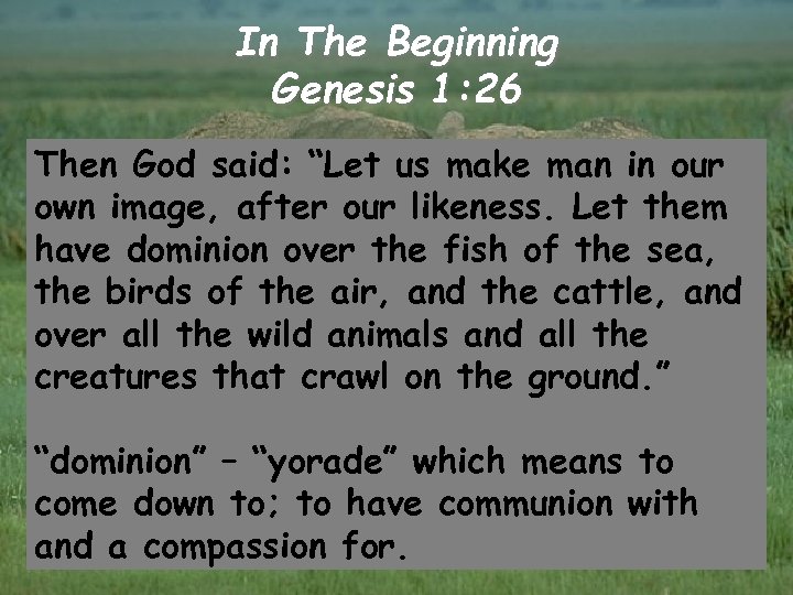 In The Beginning Genesis 1: 26 Then God said: “Let us make man in