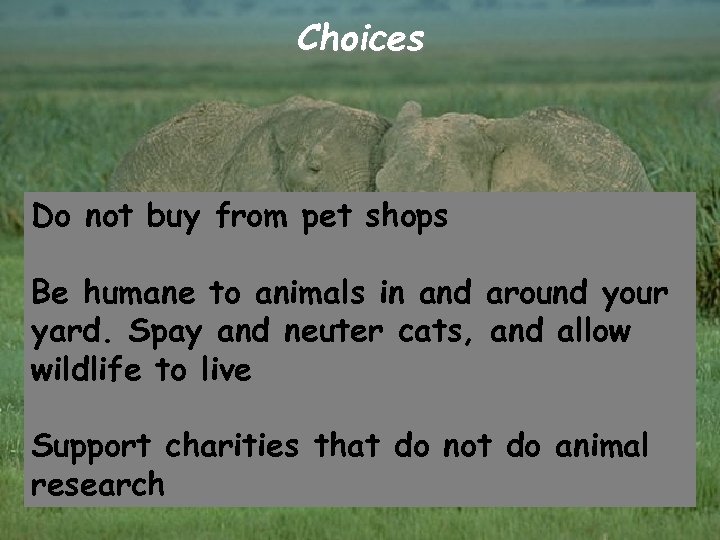 Choices Do not buy from pet shops Be humane to animals in and around