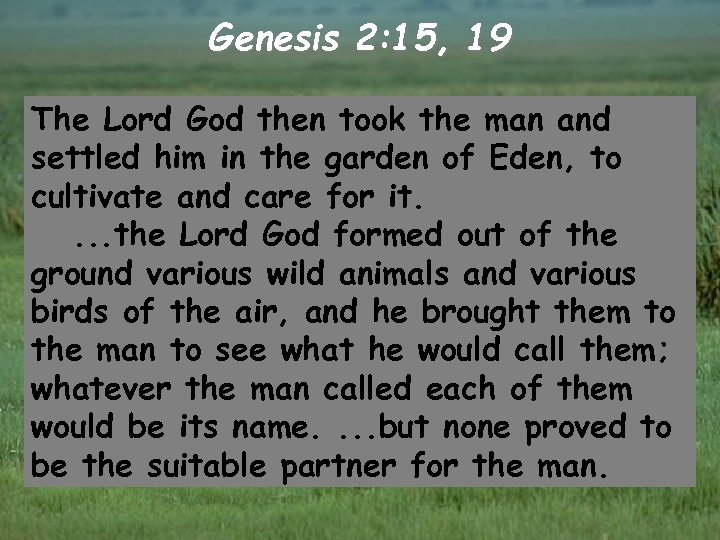 Genesis 2: 15, 19 The Lord God then took the man and settled him