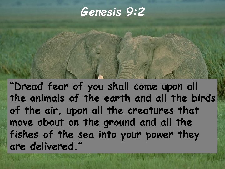 Genesis 9: 2 “Dread fear of you shall come upon all the animals of