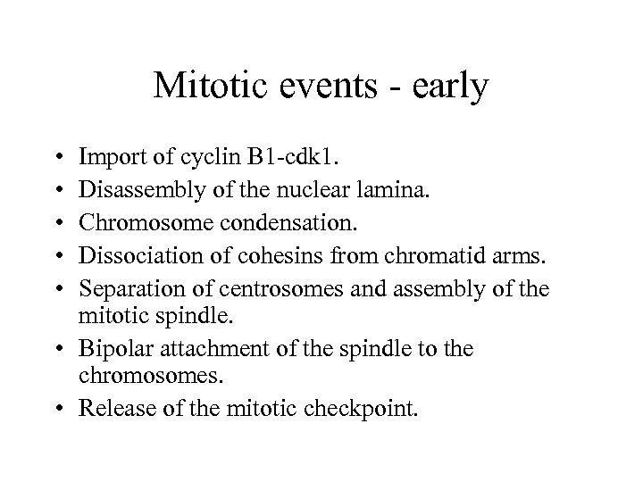 Mitotic events - early • • • Import of cyclin B 1 -cdk 1.