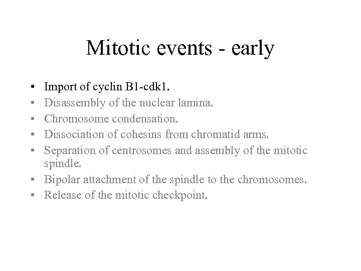 Mitotic events - early • • • Import of cyclin B 1 -cdk 1.