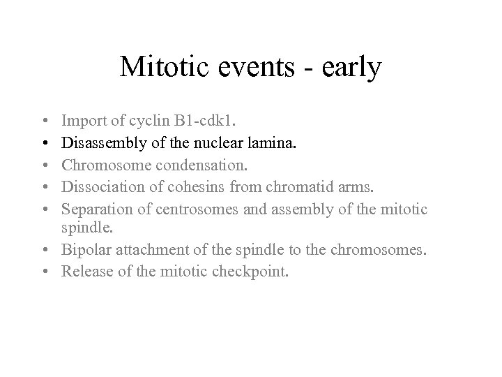 Mitotic events - early • • • Import of cyclin B 1 -cdk 1.