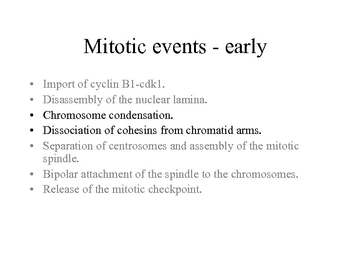 Mitotic events - early • • • Import of cyclin B 1 -cdk 1.