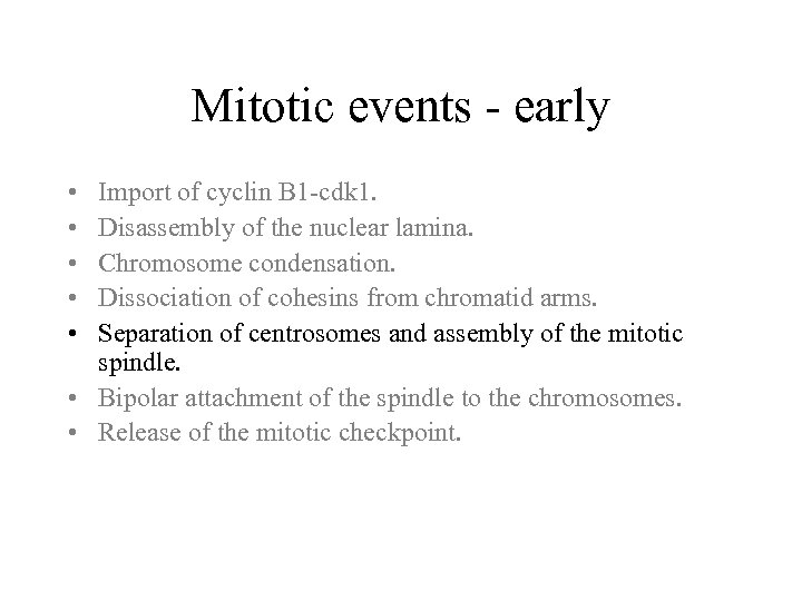 Mitotic events - early • • • Import of cyclin B 1 -cdk 1.