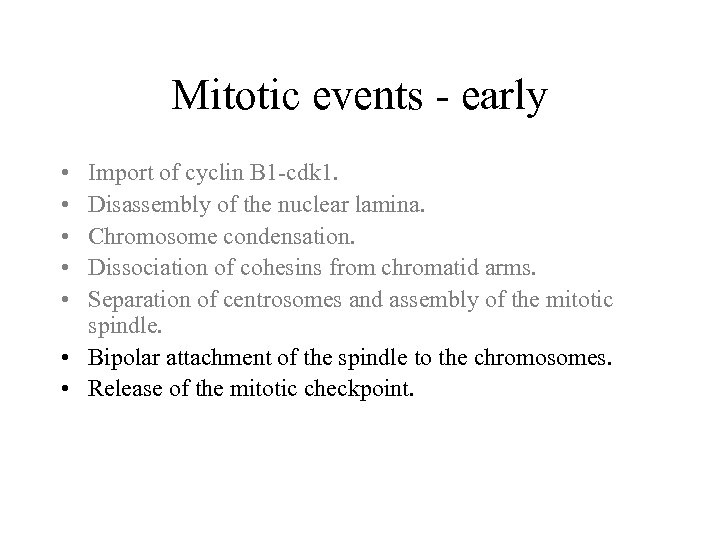Mitotic events - early • • • Import of cyclin B 1 -cdk 1.