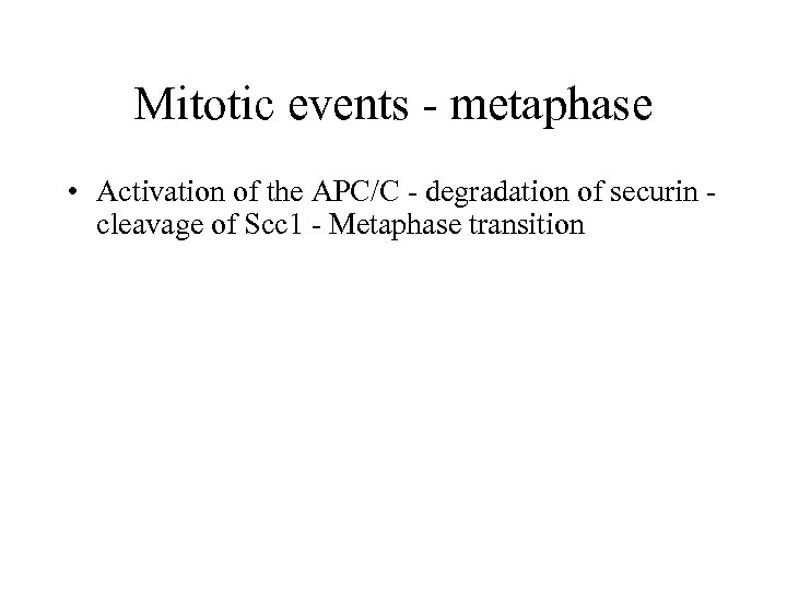Mitotic events - metaphase • Activation of the APC/C - degradation of securin cleavage