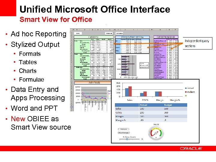 Unified Microsoft Office Interface Smart View for Office • Ad hoc Reporting • Stylized