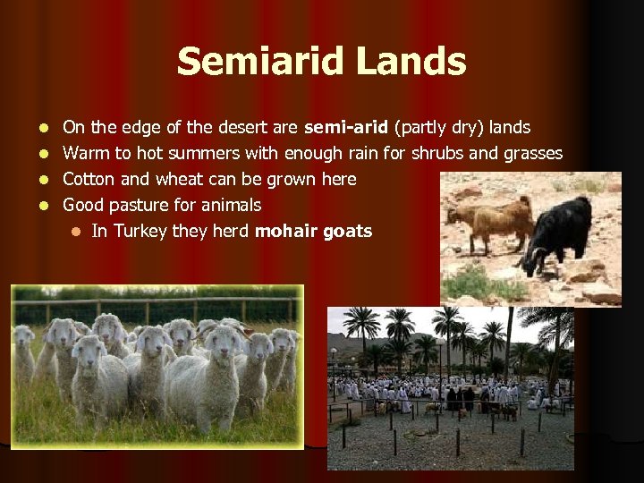 Semiarid Lands l l On the edge of the desert are semi-arid (partly dry)