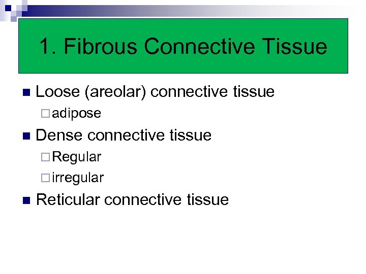 1. Fibrous Connective Tissue n Loose (areolar) connective tissue ¨ adipose n Dense connective