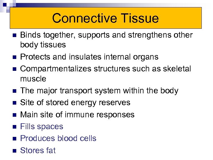 Connective Tissue n n n n n Binds together, supports and strengthens other body