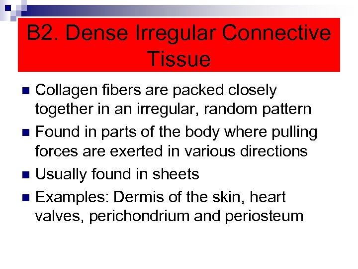 B 2. Dense Irregular Connective Tissue Collagen fibers are packed closely together in an