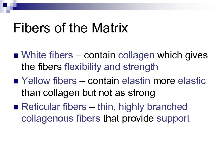 Fibers of the Matrix White fibers – contain collagen which gives the fibers flexibility