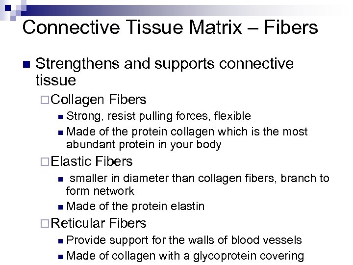 Connective Tissue Matrix – Fibers n Strengthens and supports connective tissue ¨ Collagen Fibers