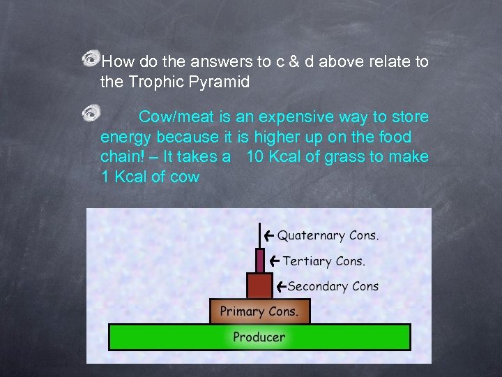 How do the answers to c & d above relate to the Trophic Pyramid