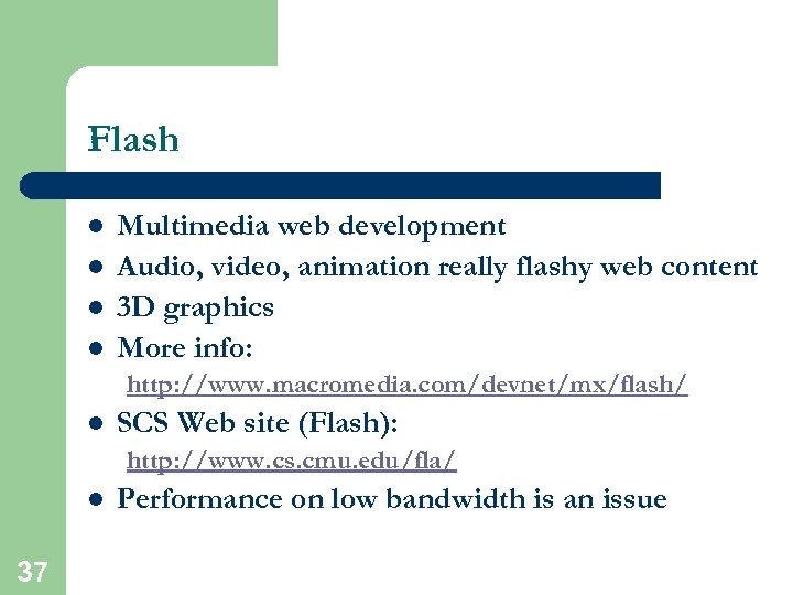 Flash l l Multimedia web development Audio, video, animation really flashy web content 3