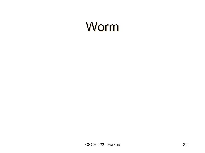 Worm CSCE 522 - Farkas 25 