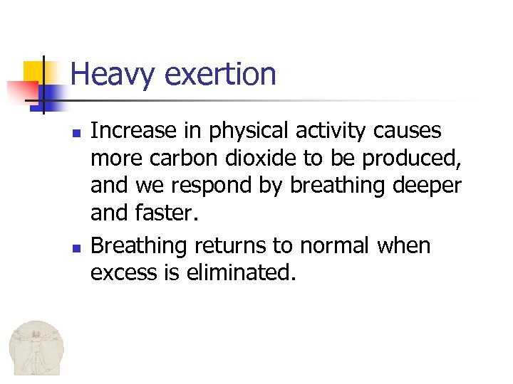 Heavy exertion n n Increase in physical activity causes more carbon dioxide to be