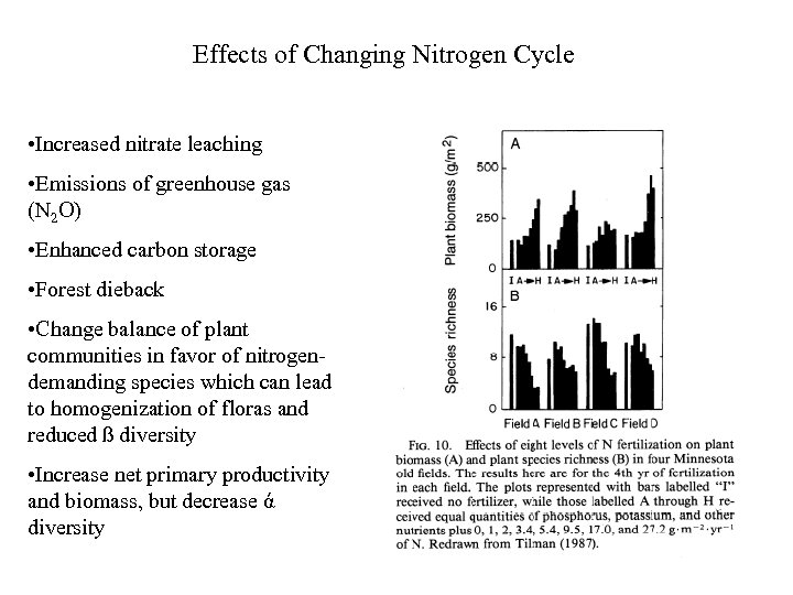 Effects of Changing Nitrogen Cycle • Increased nitrate leaching • Emissions of greenhouse gas