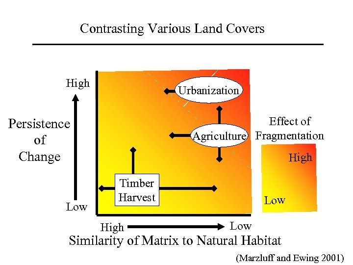 Contrasting Various Land Covers High Urbanization Effect of Agriculture Fragmentation Persistence of Change Low