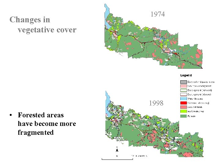 Changes in vegetative cover 1974 1998 • Forested areas have become more fragmented 