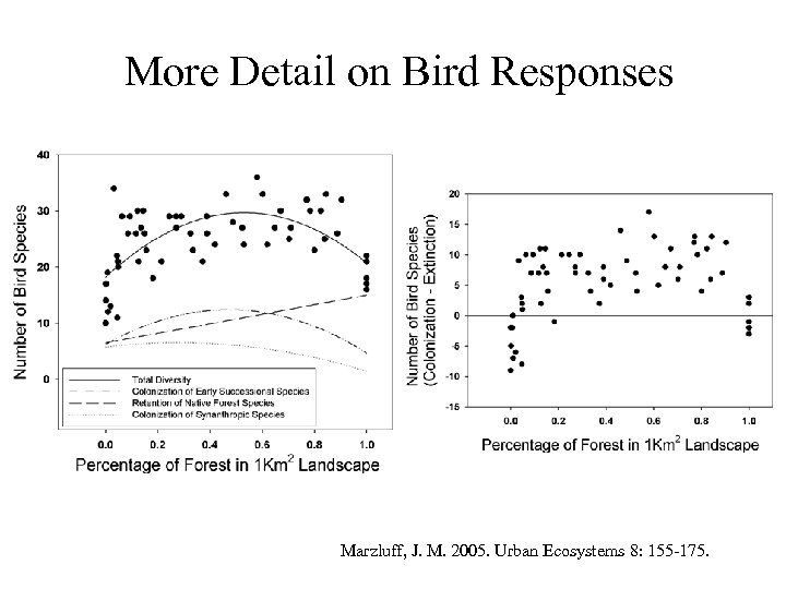 More Detail on Bird Responses Marzluff, J. M. 2005. Urban Ecosystems 8: 155 -175.