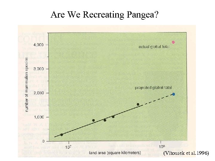 Are We Recreating Pangea? (Vitousek et al. 1996) 