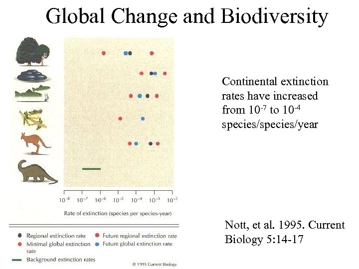Global Change and Biodiversity Continental extinction rates have increased from 10 -7 to 10