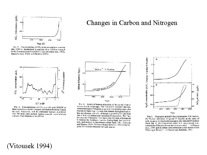 Changes in Carbon and Nitrogen (Vitousek 1994) 