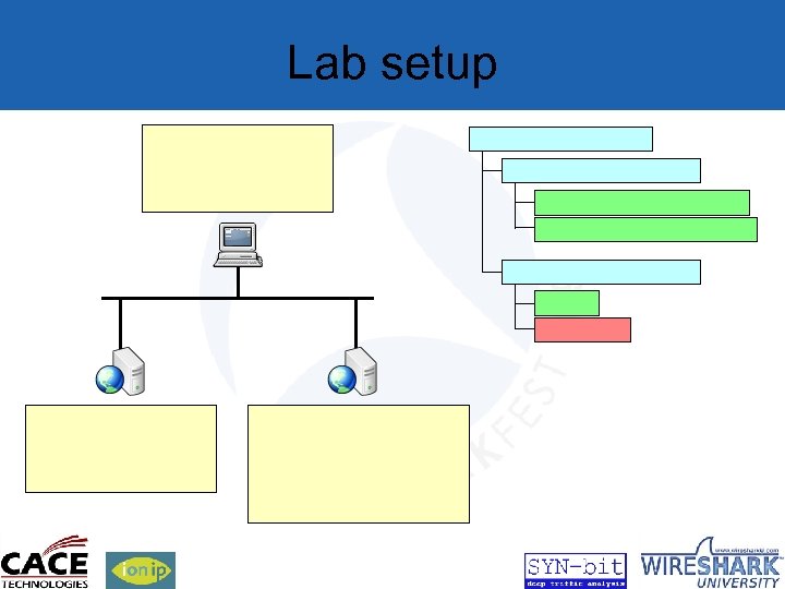 Lab setup 