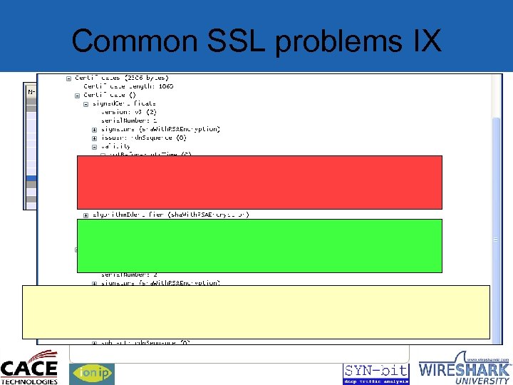 Common SSL problems IX 