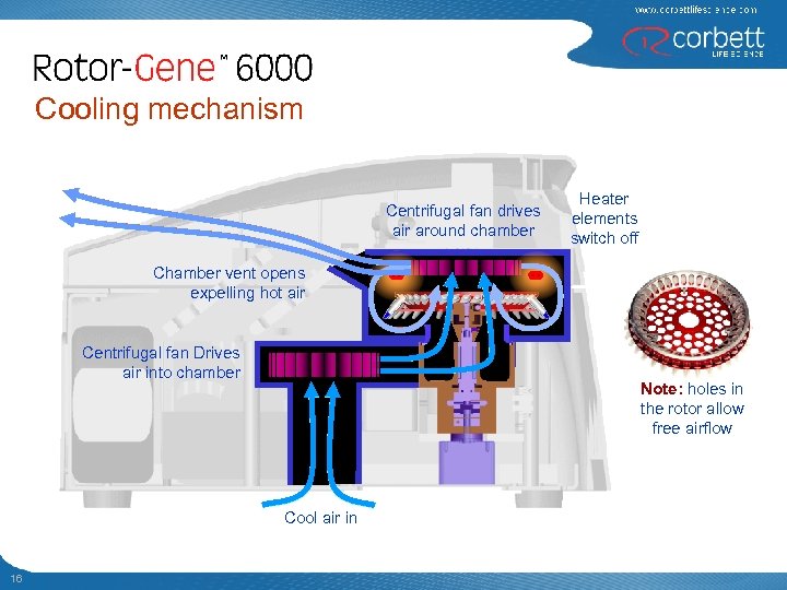 Cooling mechanism Centrifugal fan drives air around chamber Heater elements switch off Chamber vent
