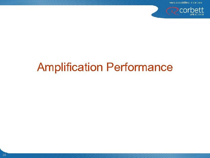 Amplification Performance 28 