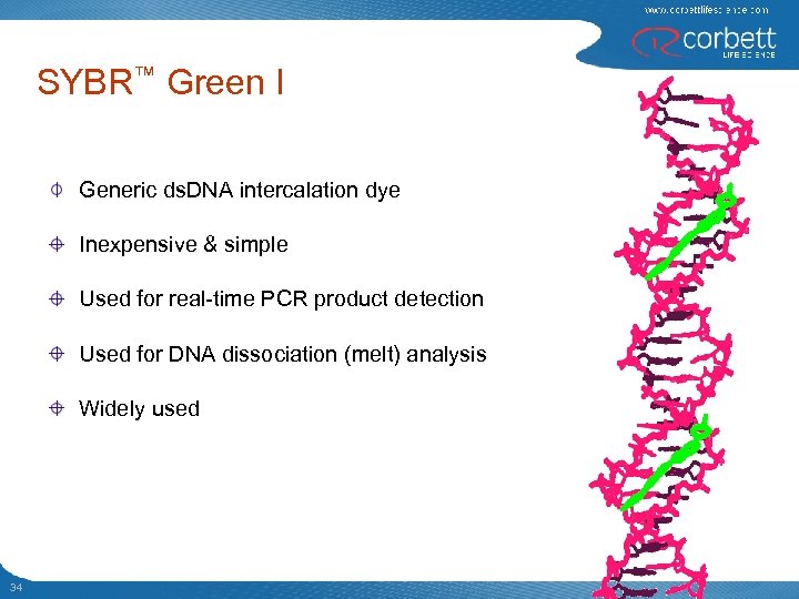 SYBR™ Green I Generic ds. DNA intercalation dye Inexpensive & simple Used for real-time