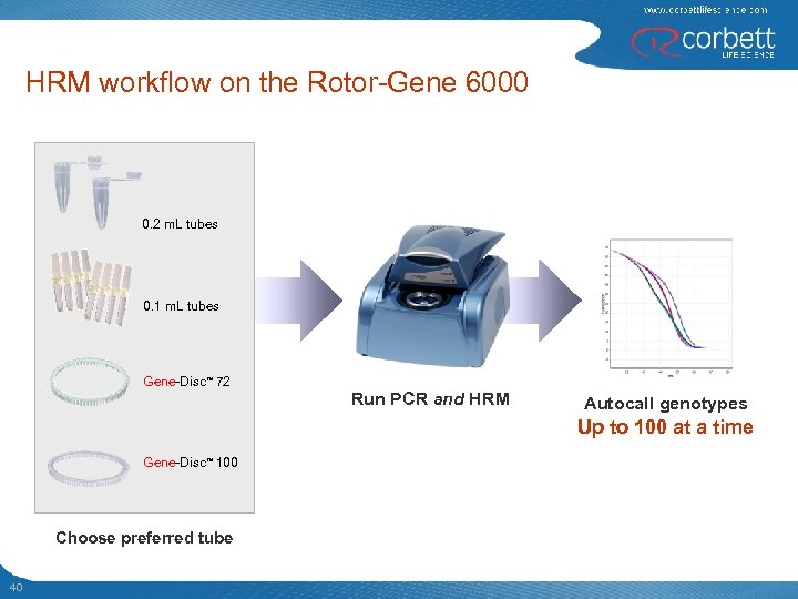 HRM workflow on the Rotor-Gene 6000 0. 2 m. L tubes 0. 1 m.