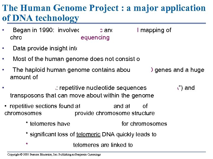 The Human Genome Project : a major application of DNA technology • Began in