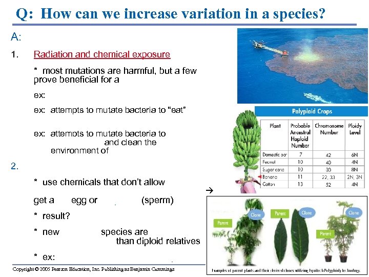 Q: How can we increase variation in a species? A: Cause Mutations 1. Radiation