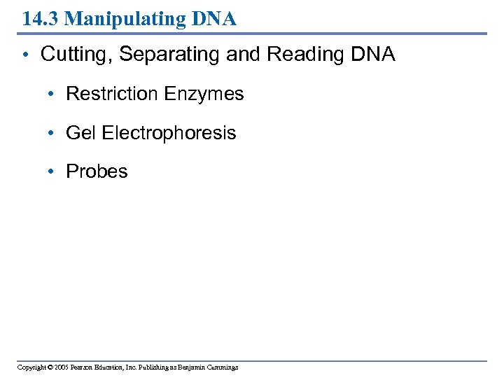 14. 3 Manipulating DNA • Cutting, Separating and Reading DNA • Restriction Enzymes •