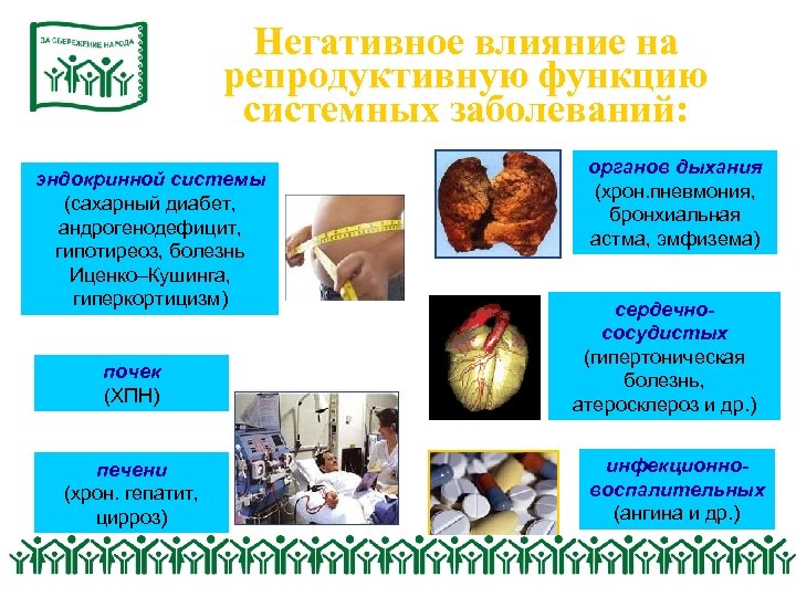 Негативное влияние на репродуктивную функцию системных заболеваний: эндокринной системы (сахарный диабет, андрогенодефицит, гипотиреоз, болезнь