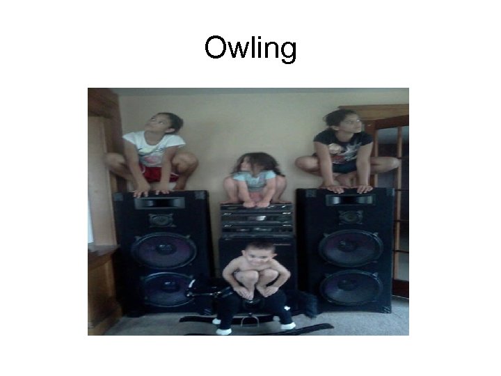 Owling 