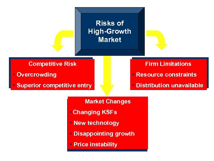 Risks of High-Growth Market Competitive Risk Firm Limitations • Overcrowding • Resource constraints •