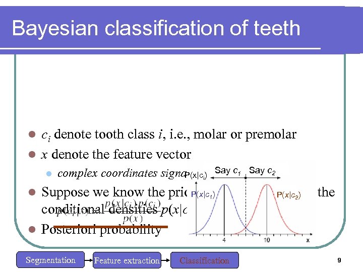 Bayesian classification of teeth l ci denote tooth class i, i. e. , molar