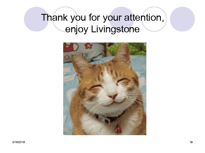 Thank you for your attention, enjoy Livingstone 3/18/2018 19 