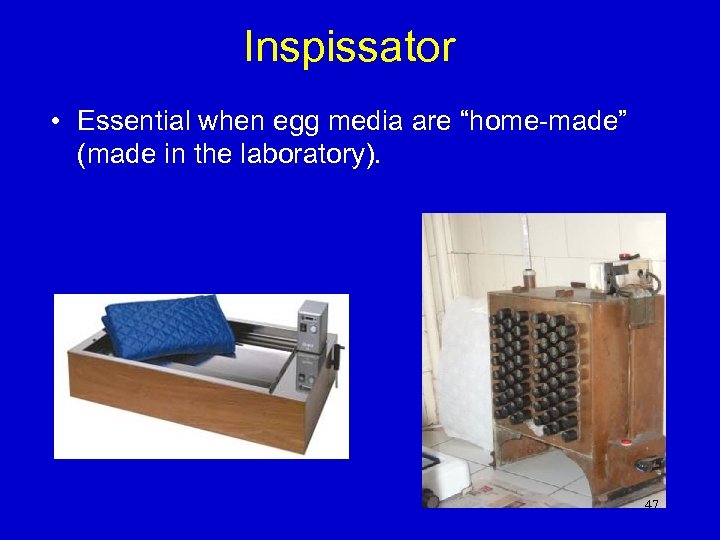 Inspissator • Essential when egg media are “home-made” (made in the laboratory). 47 