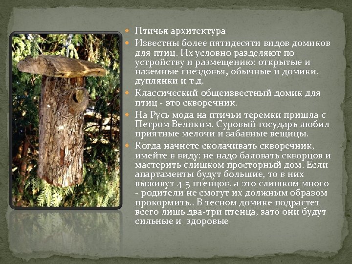  Птичья архитектура Известны более пятидесяти видов домиков для птиц. Их условно разделяют по