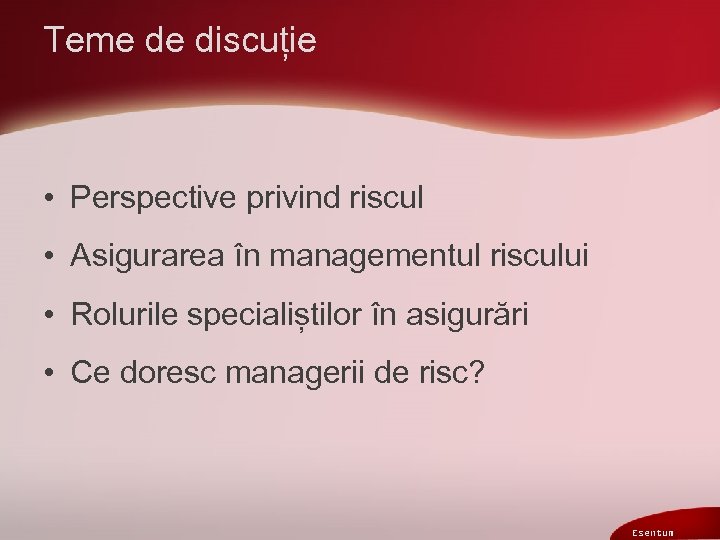 Teme de discuție • Perspective privind riscul • Asigurarea în managementul riscului • Rolurile
