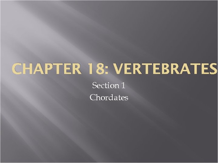 CHAPTER 18: VERTEBRATES Section 1 Chordates 