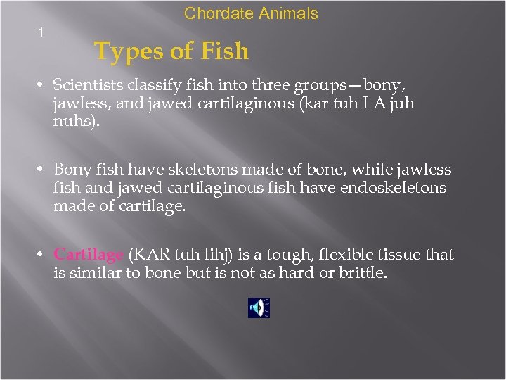 Chordate Animals 1 Types of Fish • Scientists classify fish into three groups—bony, jawless,